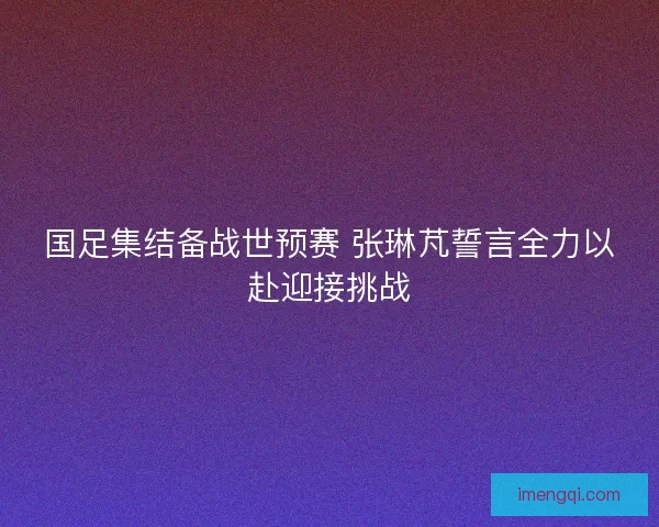 国足集结备战世预赛 张琳芃誓言全力以赴迎接挑战